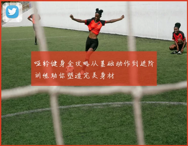 哑铃健身全攻略从基础动作到进阶训练助你塑造完美身材